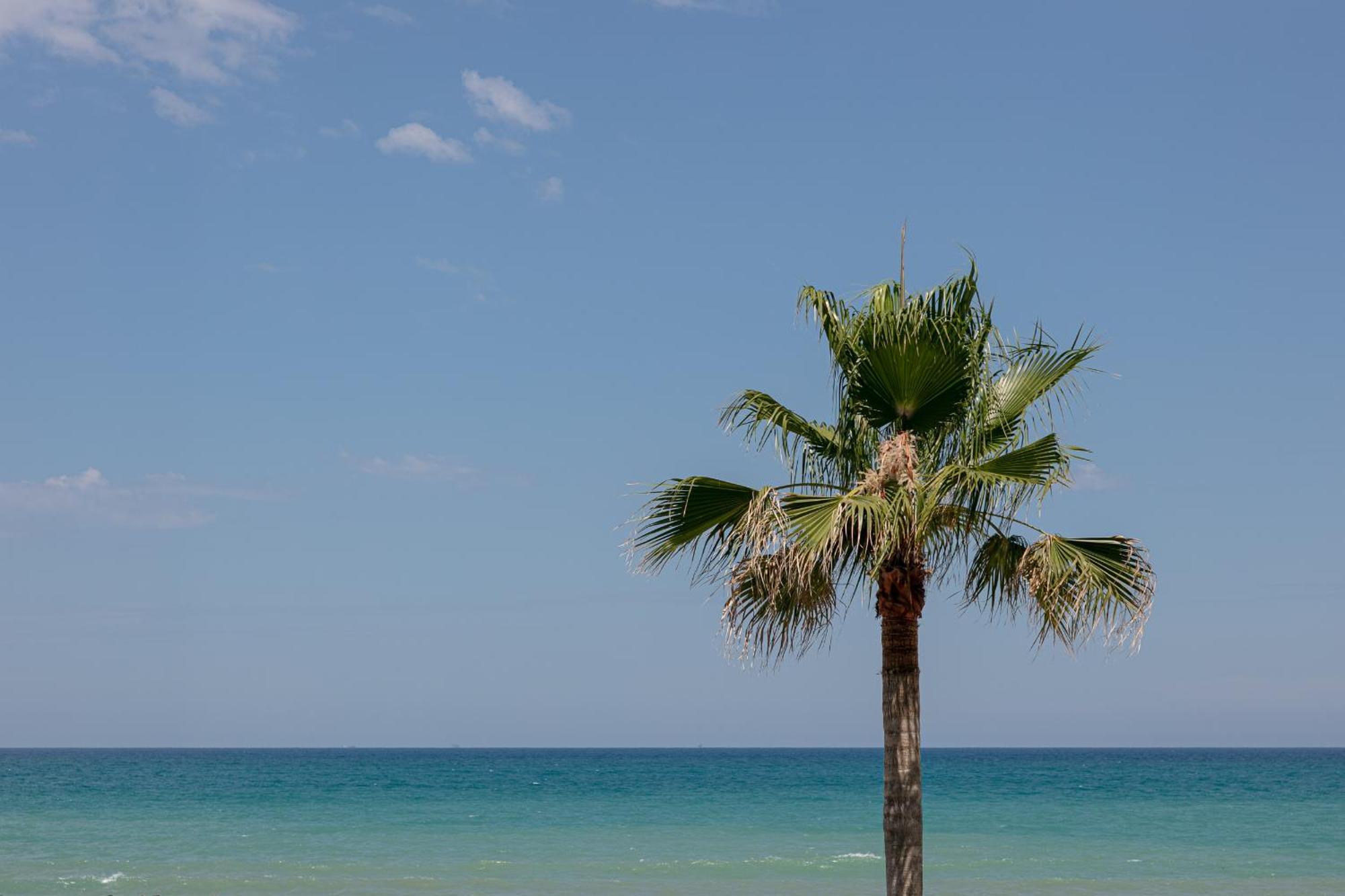 King'S Rooms Termoli Zewnętrze zdjęcie